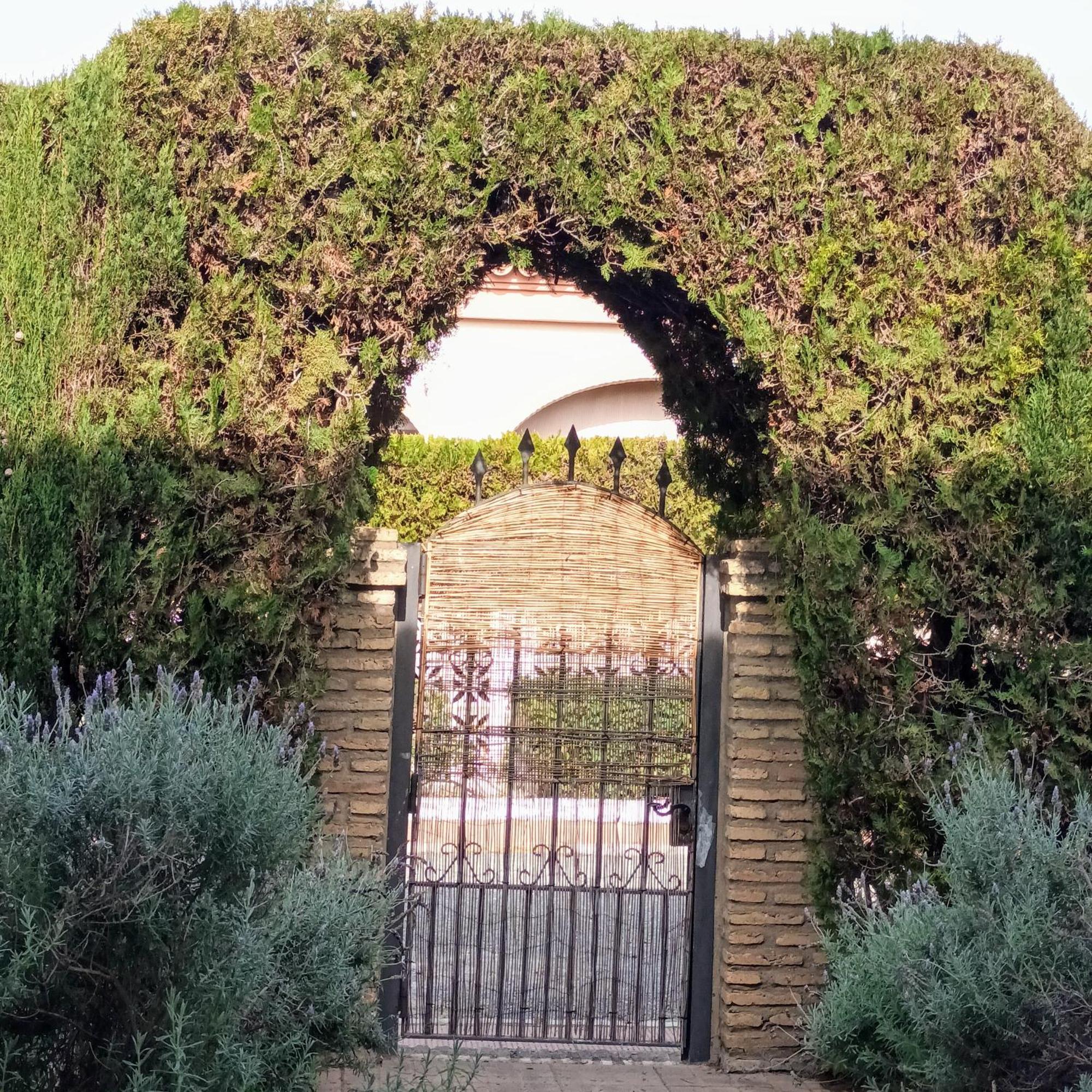 Hispalis Villa En Matalascañas Εξωτερικό φωτογραφία